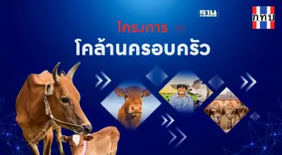 "โคล้านครอบครัว"คืออะไร ช่วยเกษตรได้ยังไง กลุ่มไหนมีสิทธิ์เช็คเลย