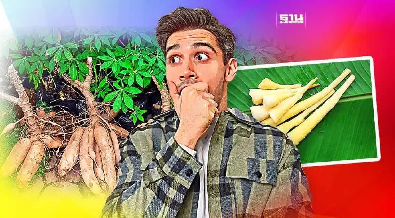 "ไซยาไนด์" ในพืช ทำความรู้จักก่อนเผลอรับประทาน พิษร้ายถึงตาย