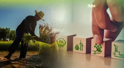 ดันชาวนาไทย ปลูกข้าวพ่วงขาย “คาร์บอนเครดิต”