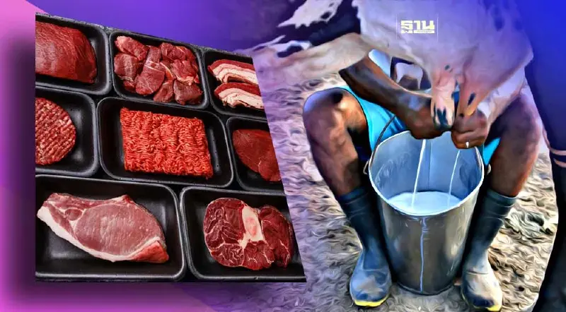 โปรตีนจากเนื้อสัตว์ นมวัว ไม่เพิ่มความเสี่ยงการเกิดโรคมะเร็ง