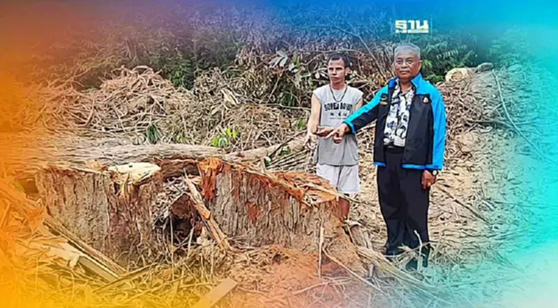 “วัชระ”ร้องผู้ว่าฯสุราษฎร์ใครโค่นต้นยางอายุกว่า 100 ปี ในวัดศานติ-ไมตรี “วัชระ”ร้องผู้ว่าฯสุราษฎร์ใครโค่นต้นยางอายุกว่า 100 ปี ในวัดศานติ-ไมตรี