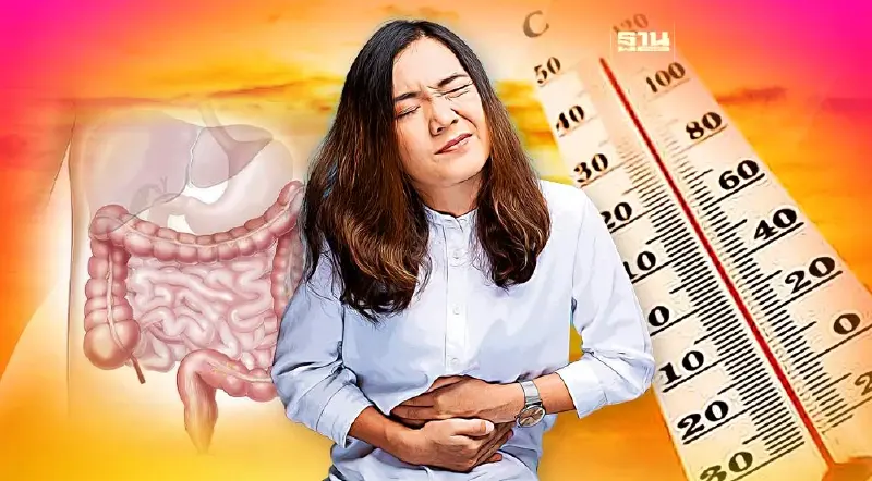 ผงะ!พิษความร้อนเสี่ยงลำไส้รั่ว อันตายแค่ไหน รีบเช็คเลยที่นี่