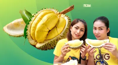 บุฟเฟ่ต์ทุเรียน 2566 กินไม่อั้น มีที่ไหนบ้าง เช็คพิกัดที่นี่