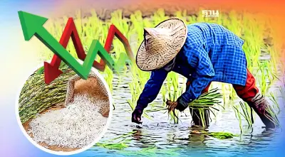 ทิศทางสถานการณ์ข้าวไทย 2566 ความท้าทายความมั่นคงด้านอาหาร