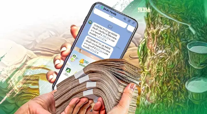 เช็คด่วน! “เงินประกันรายได้ยางพารา” เข้าแล้ว