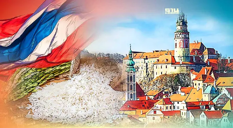 โอกาส“ข้าวไทย”ในตลาดเช็กเน้นเจาะกลุ่มคนรักสุขภาพ