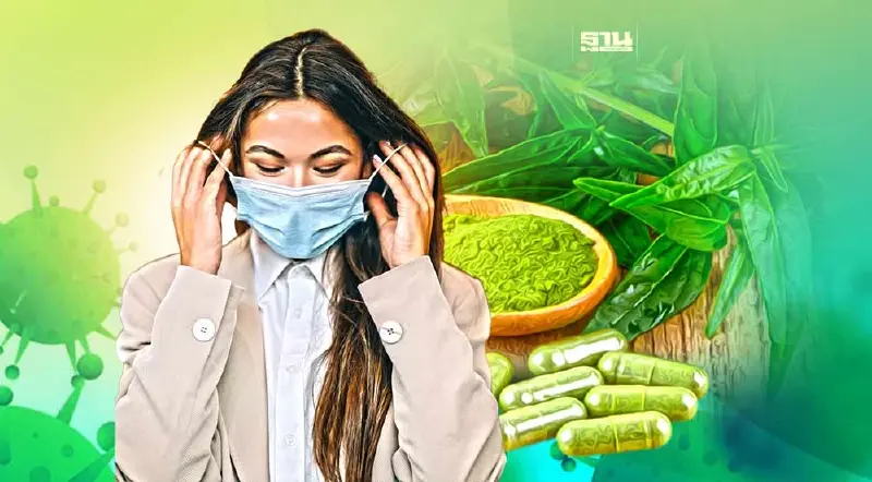 โควิดระบาด 2566 สธ.ยัน "ฟ้าทะลายโจร" เอาอยู่ ลดอาการรุนแรง