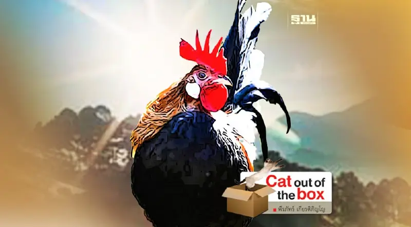 กินข้าวกับไก่ป่า : อ๊อ เหม่ เดอ ชอ หมี่