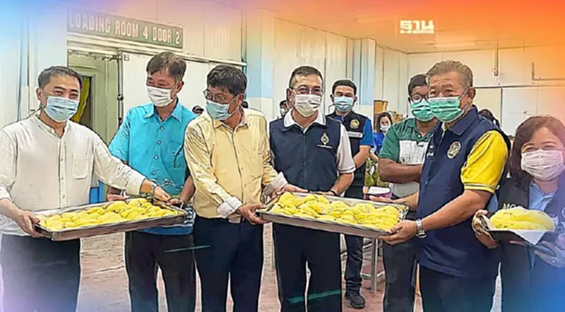 ห้องเย็นตราดโวยลดค่าไฟฟ้า7สตางค์แค่จิ๊บๆไม่ช่วยอะไร ห้องเย็นตราดโวยลดค่าไฟฟ้า7สตางค์แค่จิ๊บๆไม่ช่วยอะไร