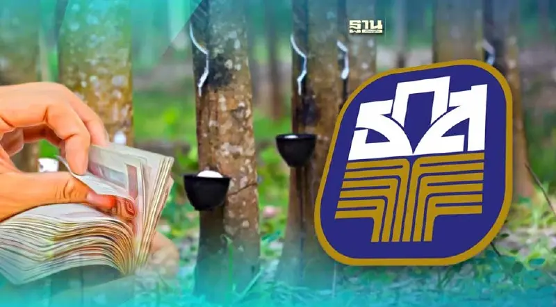 ธ.ก.ส.โอนแล้ว!เงินประกันรายได้ยาง งวดแรก 55 ล้านบาท