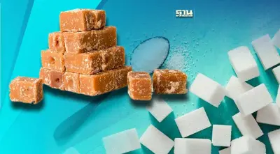 เตือน!น้ำตาลทราย-น้ำตาลฟรุกโตสตัวปัญหาของกระบวนการอักเสบ