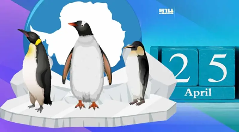 เรื่องน่ารู้ วันเพนกวินโลก World Penguin Day ตัวบ่งชี้ Climate change เรื่องน่ารู้ วันเพนกวินโลก World Penguin Day ตัวบ่งชี้ Climate change