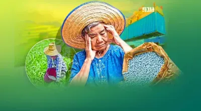 เกษตรกรอ่วม แบกค่าปุ๋ย พ่วงค่าแรง พุ่ง 3.8 แสนล้าน