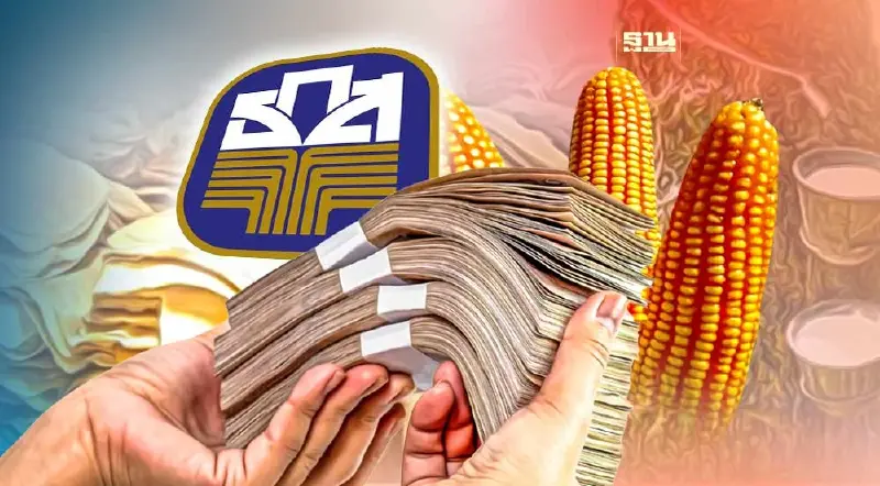 ประกันรายได้ยาง-ข้าวโพด 2566 ธ.ก.ส.พร้อมโอนเงิน 8 พันล้านบาท