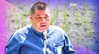 อธิบดีกรมการข้าว ร่วมปักดำข้าว กข91 แปลงนาข้าวพระราชทาน