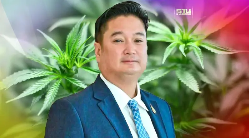 ไทยเตือนห้ามนำเข้า “กัญชา” ฝ่าฝืนมีโทษทั้งจำและปรับ