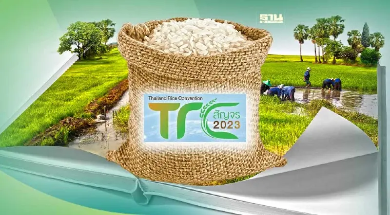 พาณิชย์ เร่งพัฒนาข้าวไทยตอบโจทย์ตลาดโลก