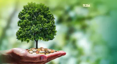 "คาร์บอนเครดิต" พุ่ง 25,000 ล้านดอลลาร์ปี73 ส่องโอกาสภาคธุรกิจไทย