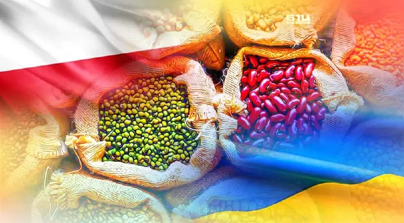 โปแลนด์ สั่งเบรกนำเข้าธัญพืช-อาหารจากยูเครน อุ้มเกษตรกรในประเทศ