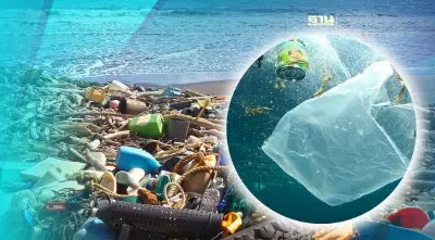 นักวิจัยห่วงขยะพลาสติกทะลักมหาสมุทร แนวโน้มเพิ่มทวีคูณทุกปี