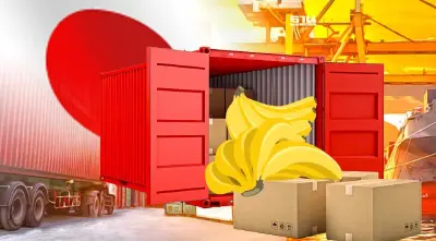 พาณิชย์ดันส่งออกกล้วยสดบุกตลาดญี่ปุ่น