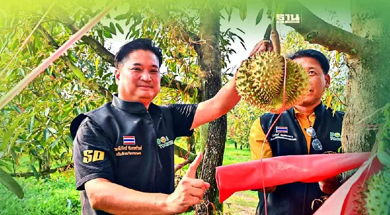 “ระพีภัทร์”ลุยเตรียมความพร้อม ส่งออกทุเรียนแสนล้านไปจีน
