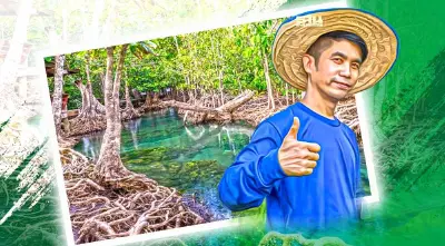 ทส.ตั้งเป้าเพิ่มป่าชายเลน 3 แสนไร่สร้างคาร์บอนเครดิตปั้นรายได้ชุมชน