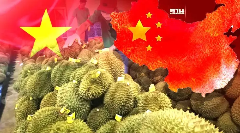 เวียดนามบุกหนัก ร่วมชิงส่วนแบ่งตลาดทุเรียนในจีน