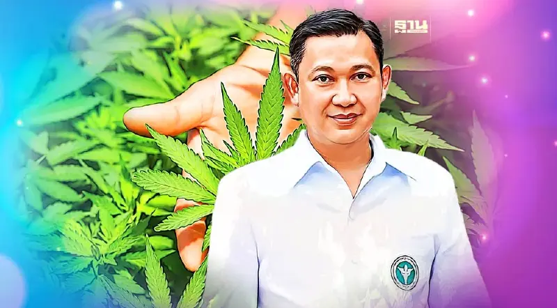 ยันชัดจำหน่าย "กัญชา" ให้กับเด็ก เยาวชน สตรีมีครรภ์ผิดกฎหมาย