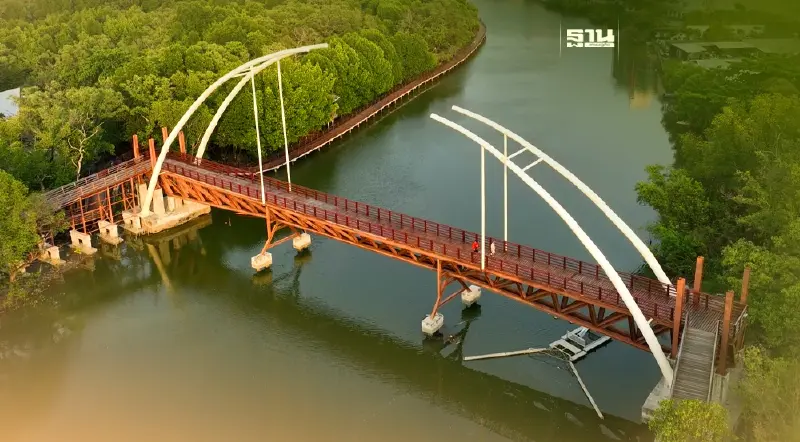 กระทรวงทรัพยากรฯ ลุยเพิ่มพื้นที่ป่าชายเลน ตั้งเป้า 300,000 ไร่ภายใน 10 ปี