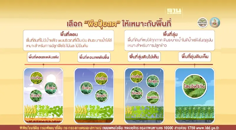พิพิธภัณฑ์ดินแชร์สตอรี่ เลือก “พืชปุ๋ยสด” ให้เหมาะกับพื้นที่ พิพิธภัณฑ์ดินแชร์สตอรี่ เลือก “พืชปุ๋ยสด” ให้เหมาะกับพื้นที่