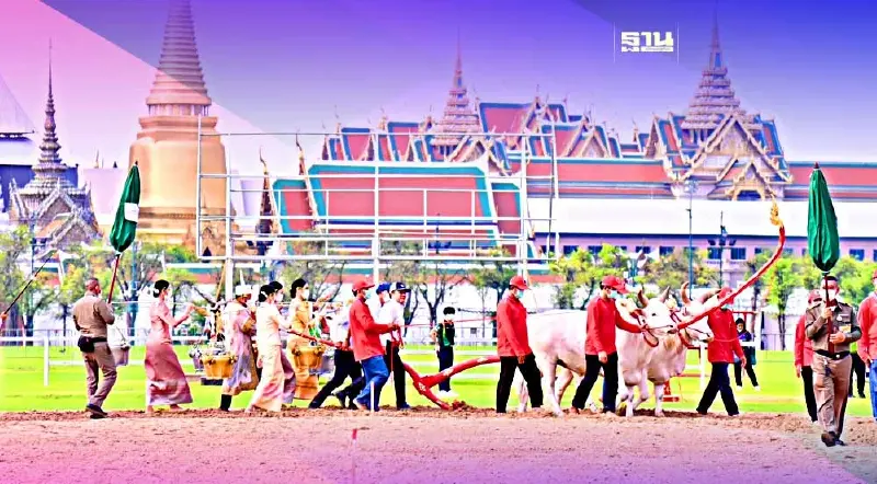 ลงทะเบียนรับเมล็ดพันธุ์ข้าว"วันพืชมงคล"ต้องทำอย่างไร?