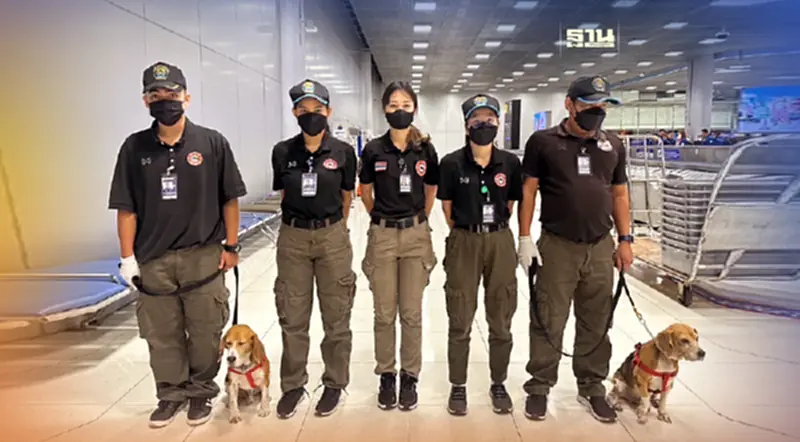 กรมปศุสัตว์ ประกาศสงครามปราบหมูเถื่อนให้สิ้น ไม่มีละเว้น กรมปศุสัตว์ ประกาศสงครามปราบหมูเถื่อนให้สิ้น ไม่มีละเว้น