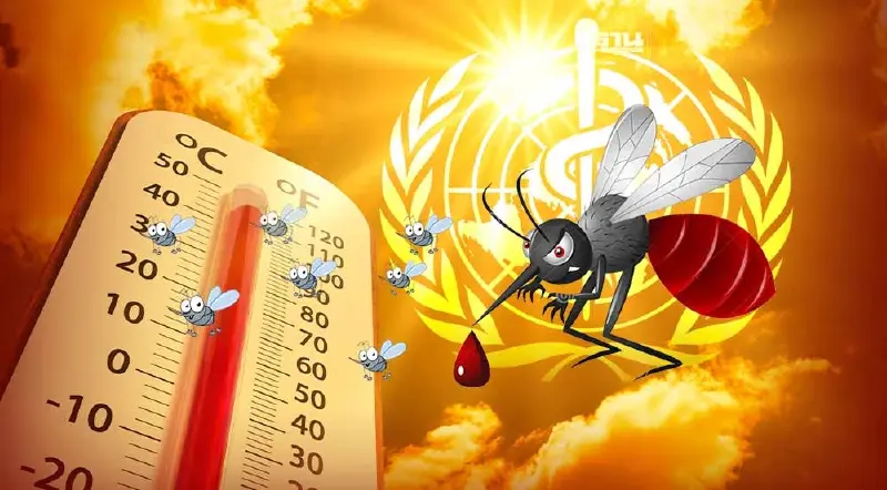 WHO เตือนอุณหภูมิโลกสูงขึ้นทำให้โรคที่ยุงเป็นพาหะระบาดหนัก