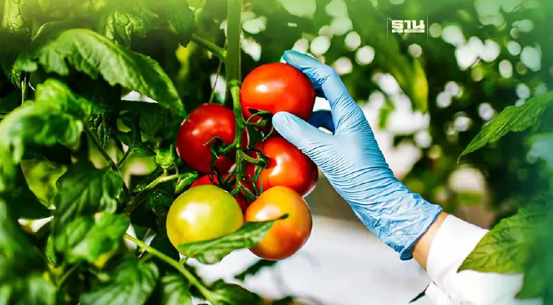 "คอนแทรคฟาร์มมิ่ง" อีกแนวทางเกษตรยั่งยืน ที่ไม่ควรมองข้าม