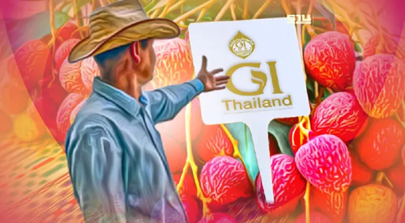 นายกฯ หนุน "ลิ้นจี่นครพนม1" เป็นสินค้า GI นายกฯ หนุน "ลิ้นจี่นครพนม1" เป็นสินค้า GI