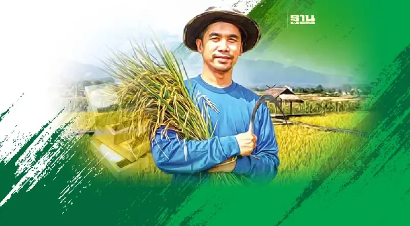 ชาวนาไทยจนคงที่-หนี้บาน แบก 3 แสนต่อครัว เงินเหลือรั้งท้ายอาเซียน