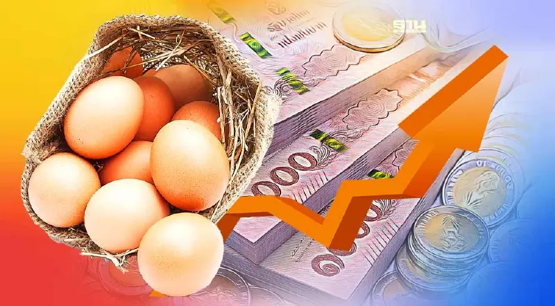 ราคาไข่ไก่คละหน้าฟาร์มยังสูง “พาณิชย์”ชี้ยังควบคุมอย่างใกล้ชิด