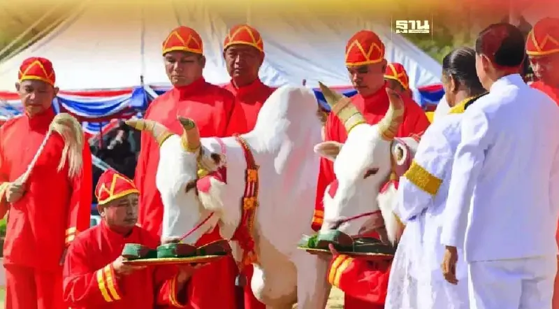 วันพืชมงคล 2566 เริ่มพิธีกี่โมง พระโคเสี่ยงทายชื่ออะไร