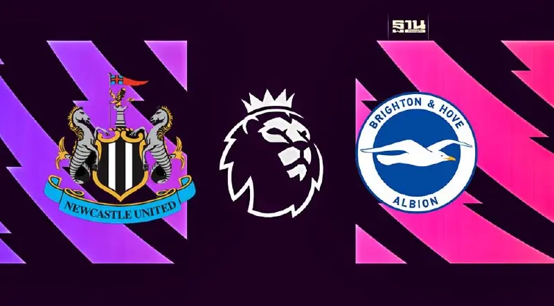 นิวคาสเซิล พบ ไบรท์ตัน ส่องสถิติ-ดูบอลสดช่องไหน เช็คที่นี่