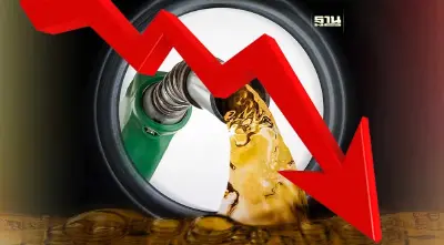 "สมาคมขนส่ง" ยันไม่ลดราคา ย้ำจุดยืน "ดีเซล" ต้องเหลือ 25 บาท