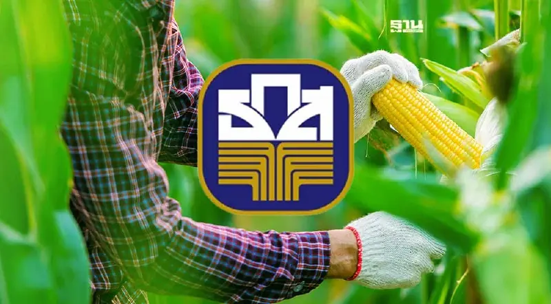 ธ.ก.ส.ออกสินเชื่อรวบรวมข้าวโพด รัฐช่วยจ่ายดอกเบี้ย 3% ธ.ก.ส.ออกสินเชื่อรวบรวมข้าวโพด รัฐช่วยจ่ายดอกเบี้ย 3%