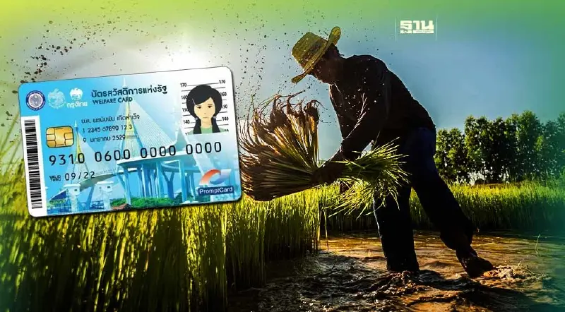 ยืนยันตัวตนบัตรสวัสดิการแห่งรัฐ 2566 กลุ่มฐานข้อมูลเกษตรกร ดูที่นี่