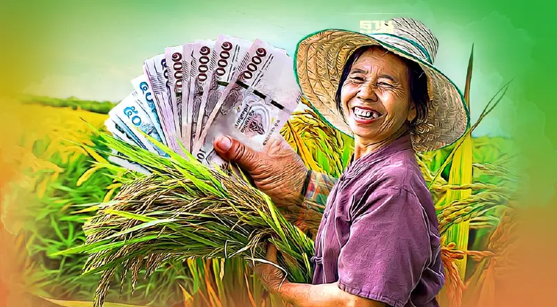 มาแล้ว “ประกันรายได้ข้าว”เคาะจ่าย2งวด