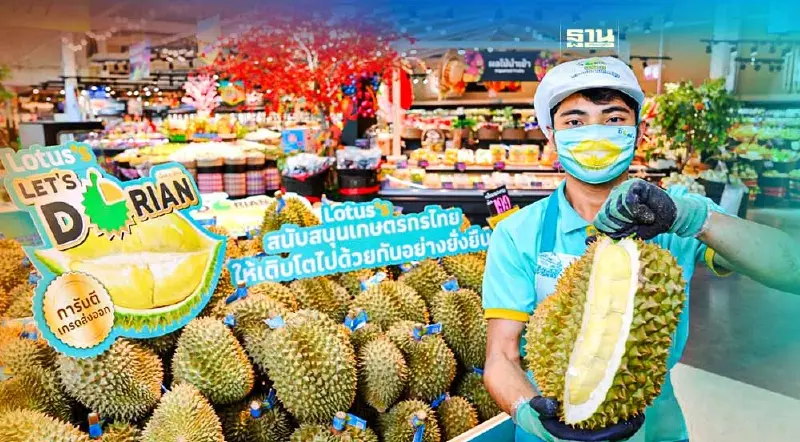 เช็กอิน “บุฟเฟ่ต์ทุเรียน” โลตัส 499 บาท 33 สาขา ที่ไหน เมื่อไรบ้าง