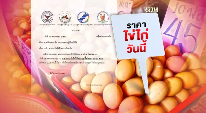 รู้ยัง  “ไข่ไก่” ปรับราคาขึ้นทำนิวไฮ แผงละ 6 บาท