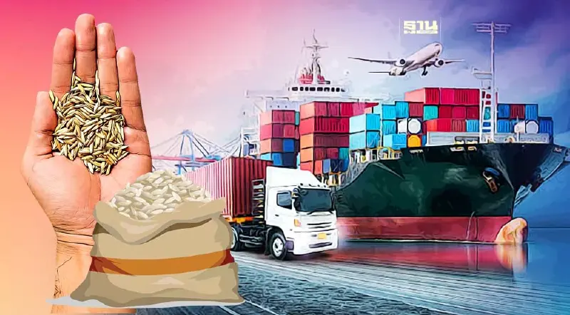 เกษตร-พาณิชย์ปลื้ม ส่งออกข้าว 4 เดือนแรกพุ่ง 3.05 ล้านตัน