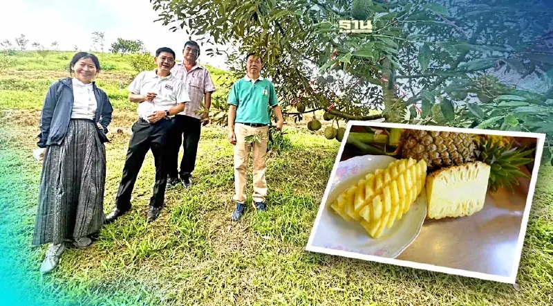 พาณิชย์ลงพื้นที่ผลักดัน GI Plus  เพิ่มมูลค่าสินค้า GIภาคใต้