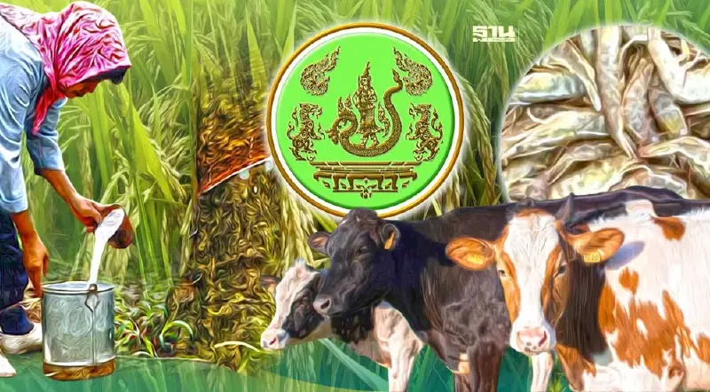 เปิดแคนดิเดต ผู้ทรงคุณวุฒิ สภาเกษตรกรจังหวัด 77 จังหวัด