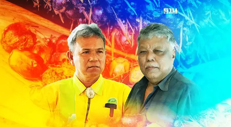 ชาวสวนโวยสุญญากาศการเมืองปล่อยผีทุบราคาปาล์ม